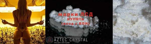 PSILOCYBIN Алексеевка