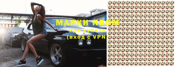 мет Алексин