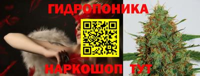 молекула духа Волжский