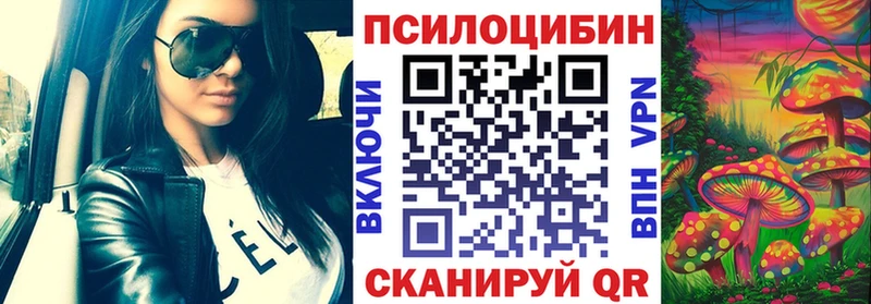 kraken рабочий сайт  Богородицк  Галлюциногенные грибы Psilocybe 