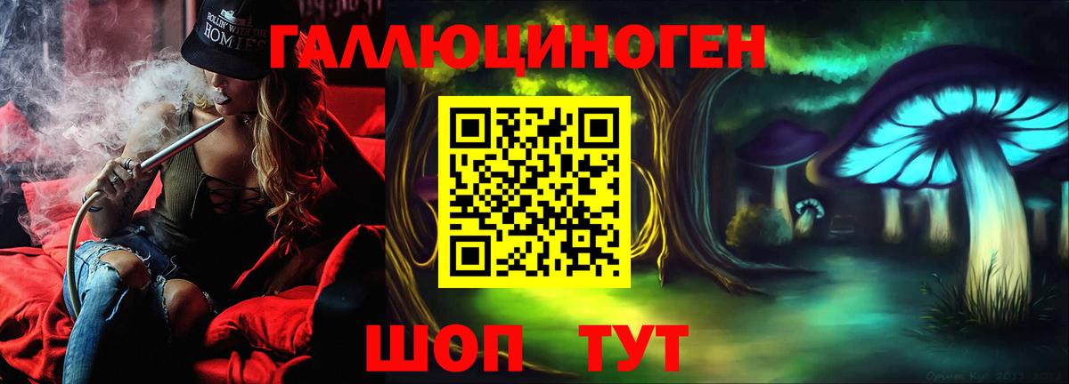 Псилоцибиновые грибы Psilocybine cubensis Богородицк